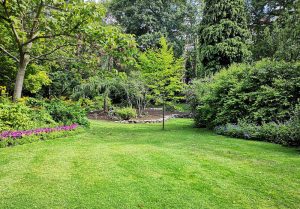 Optimiser l'expérience du jardin à Leugny